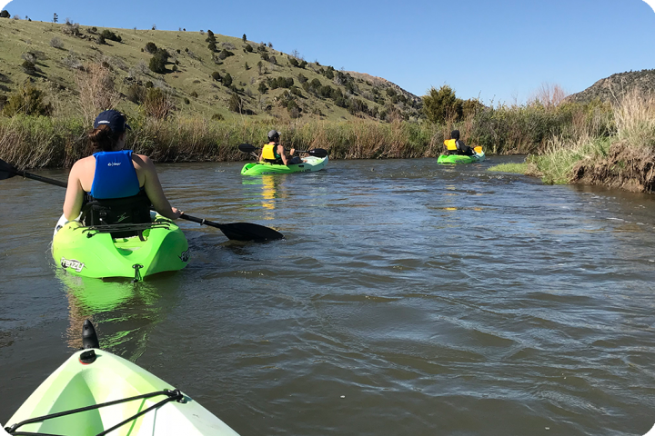 Madison River Float